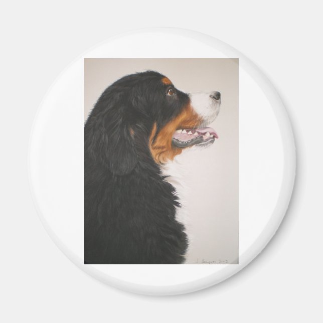 Bernese Mountain Hund 2 Magnet (Vorne)