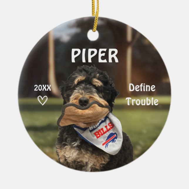 Bernese Mountain Hund Foto Ornament (Vorne)