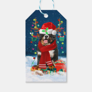 Bernese Mountain Hund im Schnee mit Weihnachtsgesc Geschenkanhänger