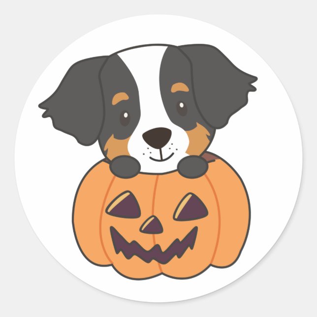 Bernese Mountain Hund in Pumpkin Hunde glücklich Runder Aufkleber (Vorderseite)