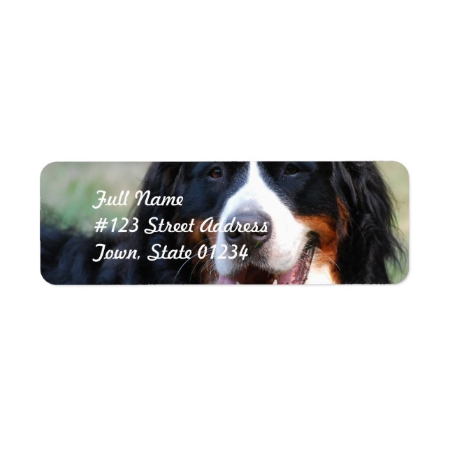 Bernese Mountain Hund Label (Vorne)