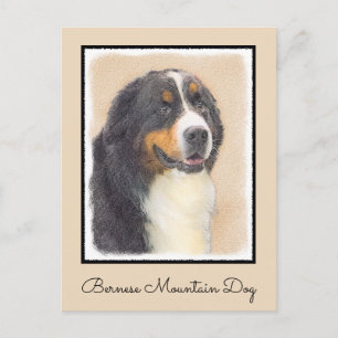 Bernese Mountain Hund Malerei - Original Hunde Kun Postkarte