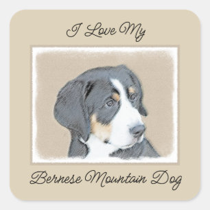 Bernese Mountain Hund Malerei - Original Hunde Kun Quadratischer Aufkleber