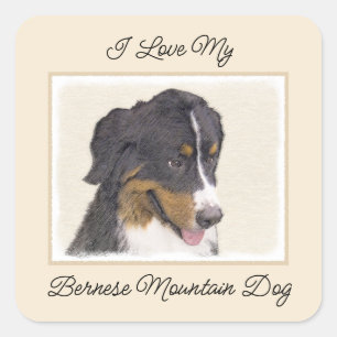 Bernese Mountain Hund Malerei - Original Hunde Kun Quadratischer Aufkleber