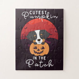 Bernese Mountain Hund Niedlicher Pumpkin in Patch