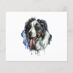 Bernese Mountain Hund Niedliches Gesicht Postkarte