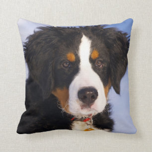 Bernese Mountain Hund - Niedliches Welpe Foto Kissen
