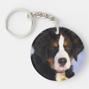 Bernese Mountain Hund - Niedliches Welpe Foto Schlüsselanhänger