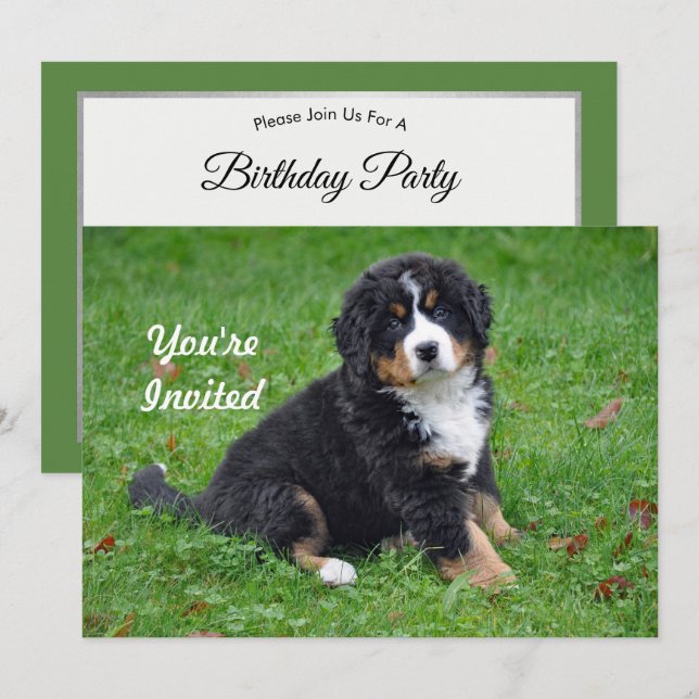 Bernese Mountain Hund Welpe Foto Geburtstag Einladung (Vorne/Hinten)