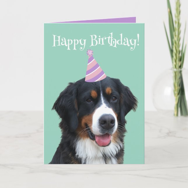 Bernese Mountain Hund Welpe Geburtstag Karte (Vorderseite)