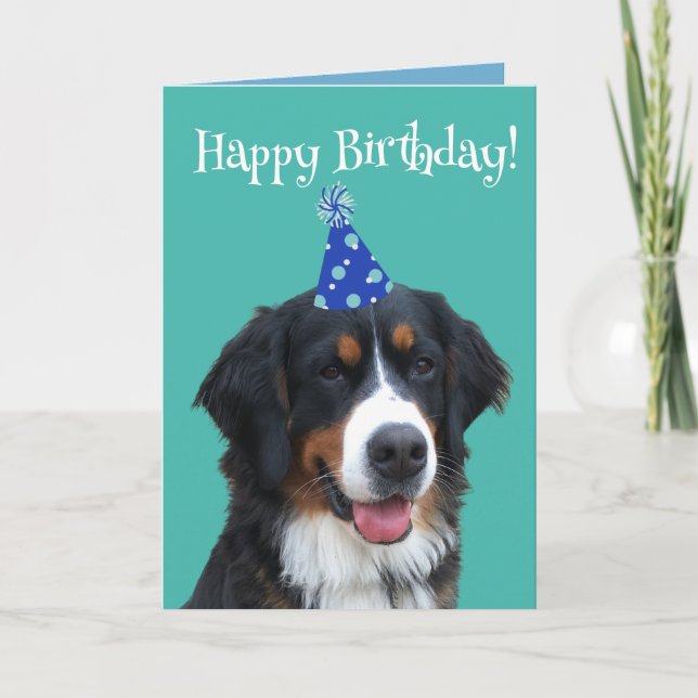 Bernese Mountain Hund Welpe Geburtstag Karte (Vorderseite)