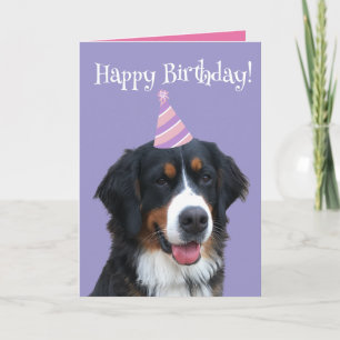 Bernese Mountain Hund Welpe Geburtstag Karte