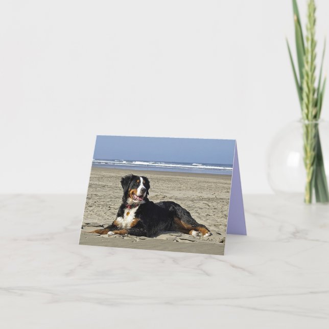 Bernese Mountain Hund Welpen Hundekarte Karte (Vorderseite)