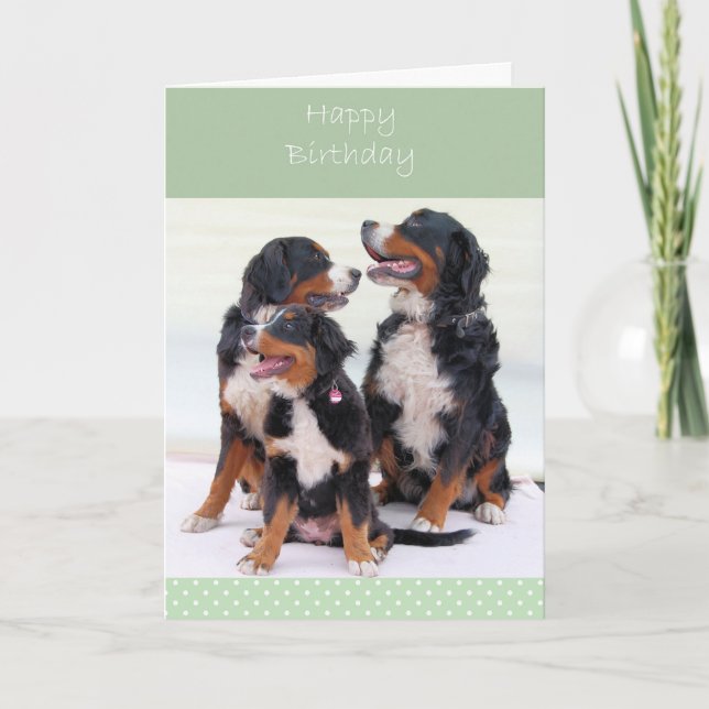 Bernese Mountain Hunde Happy Birthday Grußkarte Karte (Vorderseite)