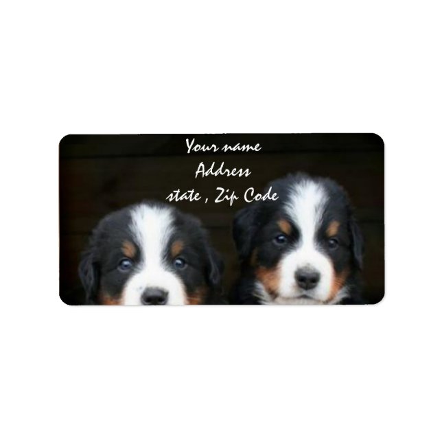 Bernese Mountain Hunde Welpen Adressetikett (Vorne)