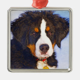 Bernese Mountain Puppy Dog - Farbstift Sketch Ornament Aus Metall