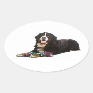 Bernese Mountain Puppy Dog Sticker / Siegel