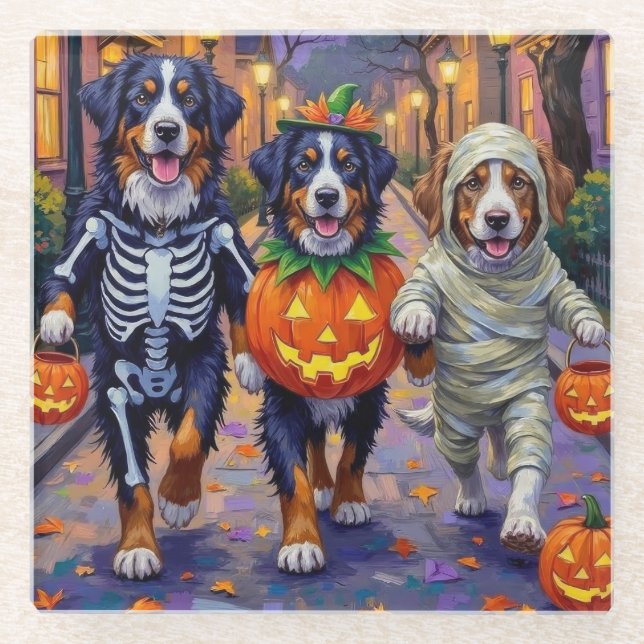 Bernese Mountain Trick oder Treating zu Halloween Glasuntersetzer (Vorderseite)