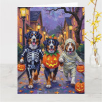 Bernese Mountain Trick oder Treating zu Halloween