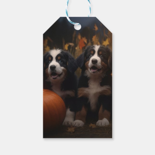Bernese Mountain Welpe Herbst Kürbiskugel Geschenkanhänger (Vorderseite)