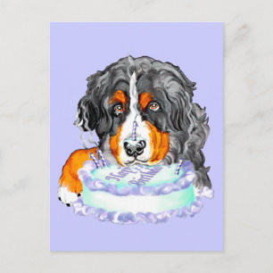 Bernese Mt Dog Cake Face Birthday Postkarte