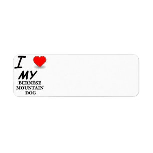 Bernese mt dog Liebe