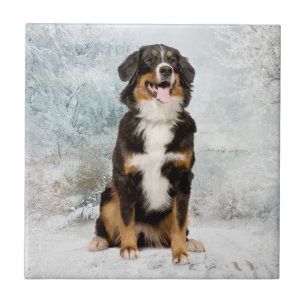 Bernese Mt. Hund Tile Untersetzer