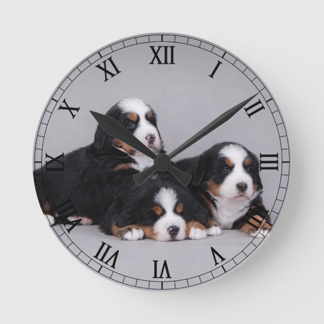 Bernese puppies runde wanduhr (Vorderseite)
