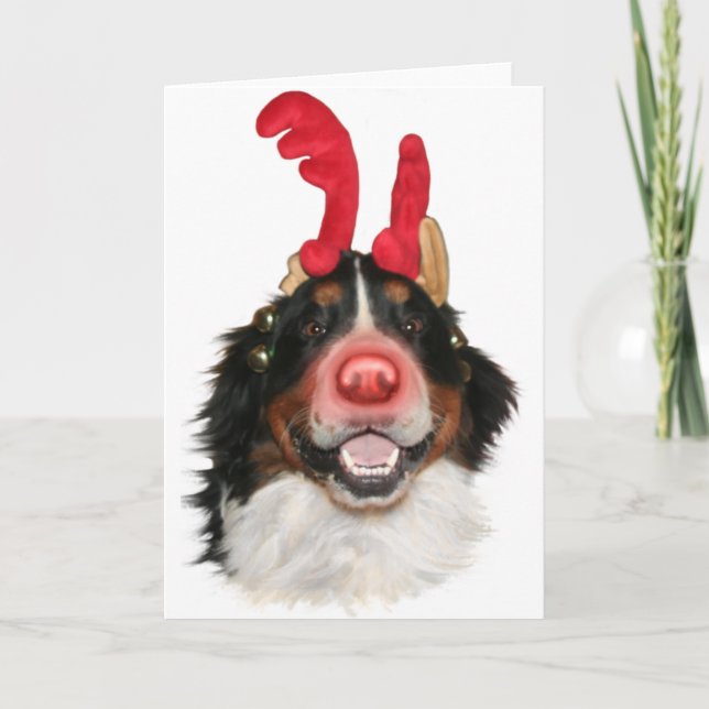Bernese Roodolph (Rudolph) Feiertagskarte (Vorderseite)