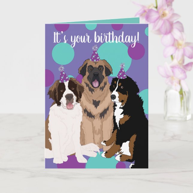 Bernese, Saint Bernard, Leonberger Geburtstag Karte (Orchidee)