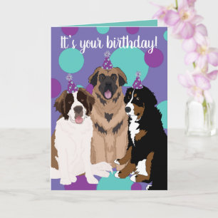 Bernese, Saint Bernard, Leonberger Geburtstag Karte