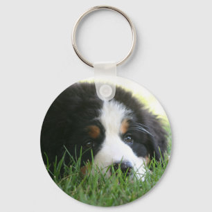 Bernese Welpe Schlüsselanhänger
