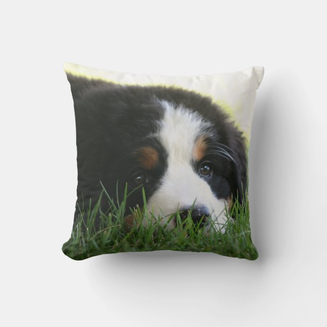 Bernese Welpen-Kissen Kissen (Vorderseite)