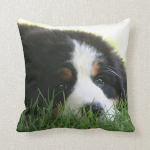 Bernese Welpen-Kissen Kissen