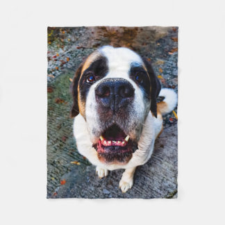 Bernhadiner fleecedecke