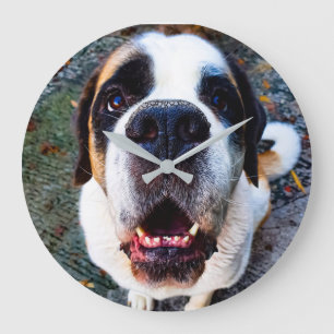 Bernhadiner  große wanduhr