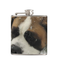 Bernhardiner-Hund