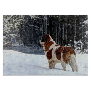 Bernhardiner-Hund im Schnee Schneidebrett