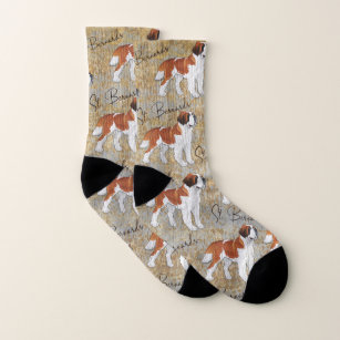 Bernhardiner-Hunde mit einem rustikalen Socken