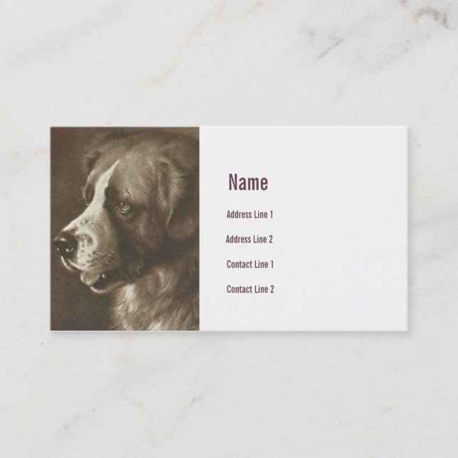 Bernhardiner-Hundeillustrations-Visitenkarte Visitenkarte (Vorderseite)