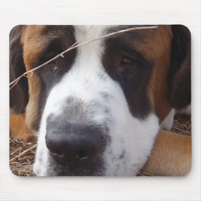 Bernhardiner-Hundemausunterlage Mousepad (Vorne)