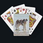 Bernhardiner-Hundeschönes Foto auf Strand Spielkarten<br><div class="desc">Schönes Foto eines Bernhardiner-Hundes auf den Spielkarten des Strandes.  große Geschenkidee</div>