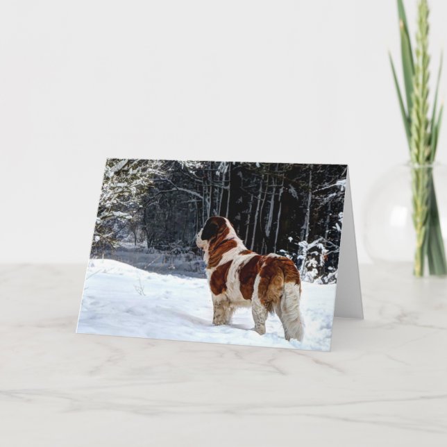 Bernhardiner-Schnee photographischer Feiertagskarte (Vorderseite)