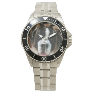 Bernhardiner stellen gegenüber armbanduhr