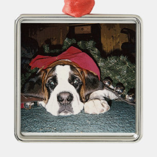 Bernhardiner-Weihnachtsverzierung Silbernes Ornament