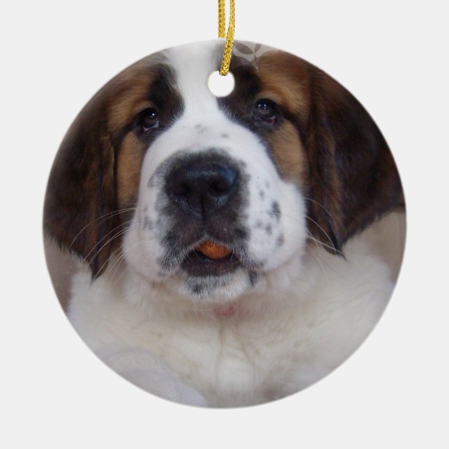 Bernhardiner-Welpen-Verzierung Keramik Ornament (Vorne)