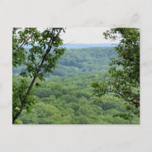 Bernheim Forest Postcard Postkarte
