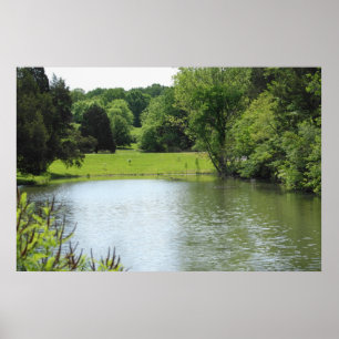 Bernheim Waldteich-Druck Poster