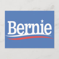 Bernie Logo