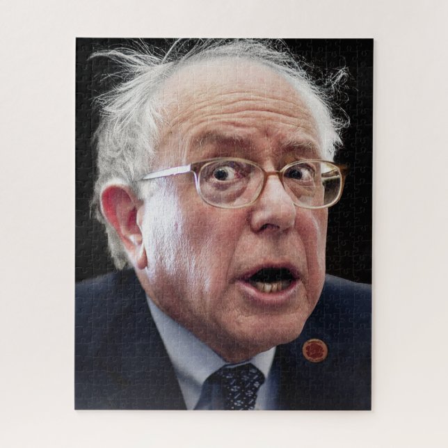 Bernie Sanders (Vertikal)